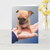 Handen verliezen kaart (Gele Bloem)