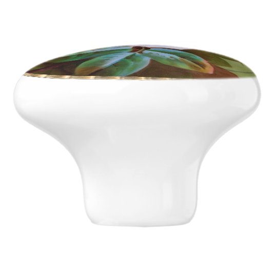 Handgeschilderd China Kijk roze rozen Antiek Keramische Knop (Zijkant)