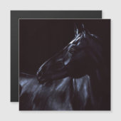 Handgeschilderd elegant zwart paard magnetische uitnodiging (Voorkant / Achterkant)