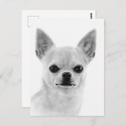 Handgeschilderd wit Chihuahua kunstwerk Briefkaart (Voorkant / Achterkant)