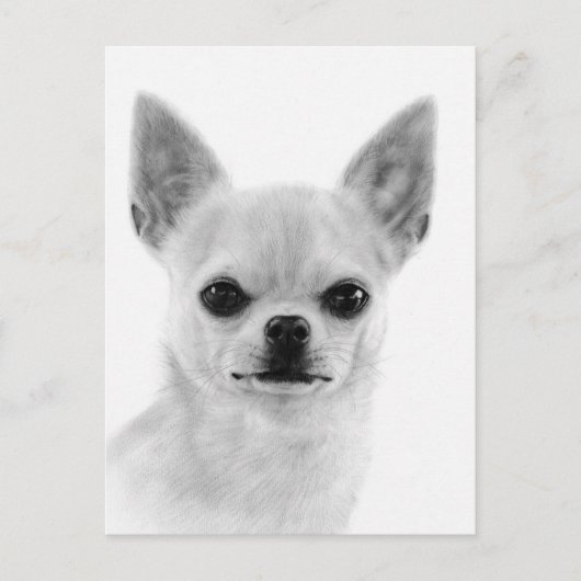 Handgeschilderd wit Chihuahua kunstwerk Briefkaart (Voorkant)