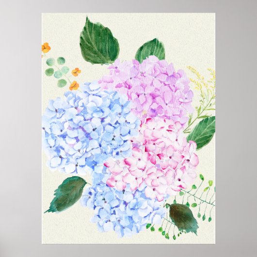 Handgeschilderde blauwe en roze hortensia poster (Voorkant)