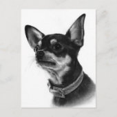 Handgeschilderde Chihuahua Head Study Briefkaart (Voorkant)