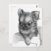 Handgeschilderde Chihuahua Puppy - Gentle Gaze Briefkaart (Voorkant / Achterkant)
