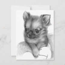 Handgeschilderde Chihuahua Puppy - Gentle Gaze