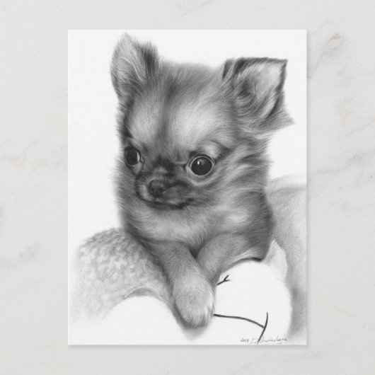 Handgeschilderde Chihuahua Puppy - Gentle Gaze Briefkaart (Voorkant)