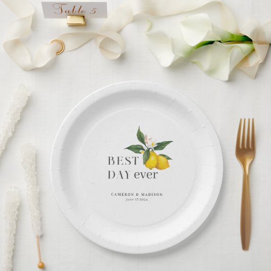 Handgeschilderde citroenen met bloem bruiloft papieren bordje (Huwelijk)