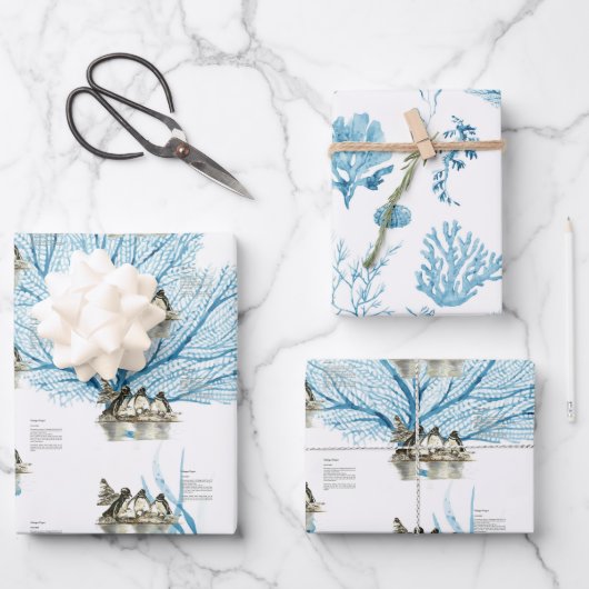 Handgeschilderde Galapagos Pinguïns Inpakpapier Vel (Voorkant)