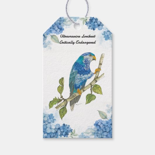 Handgeschilderde mooie ultramarijn loriket vogel cadeaulabel (Voorkant)