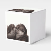 Handgeschilderde otters - Tender Moment Wildlife A Bedankdoosjes (Voorkant Zijde)