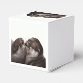 Handgeschilderde otters - Tender Moment Wildlife A Bedankdoosjes (Achterkant)