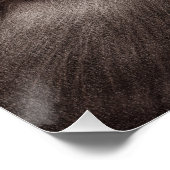 Handgeschilderde otters - Tender Moment Wildlife A Perfect Poster (Hoek)