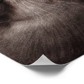 Handgeschilderde otters - Tender Moment Wildlife A Poster (Hoek)