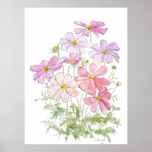 Handgeschilderde paarse en roze kosmos bloemen ink poster (Voorkant)