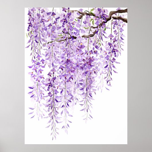 Handgeschilderde paarse Wisteria in bloei 2024 Poster (Voorkant)