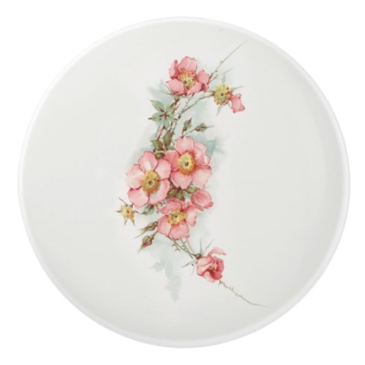 Handgeschilderde Stijl Wilde Rozen Keramische Knop (Voorkant)