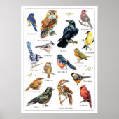 Handgeschilderde Vogels Print (Voorkant)