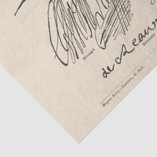 Handgeschreven handschriften van beroemde mensen tissuepapier (Detail)