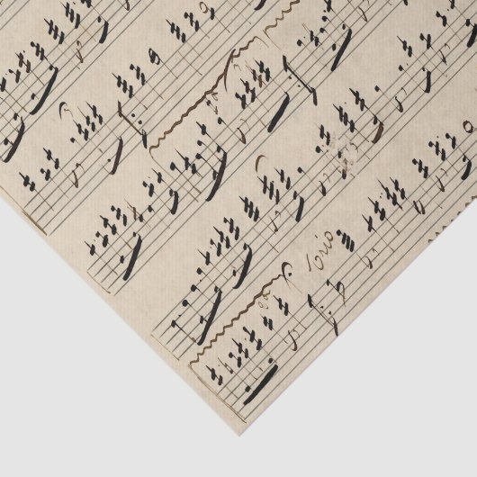  handgeschreven muziek tissuepapier (Detail)