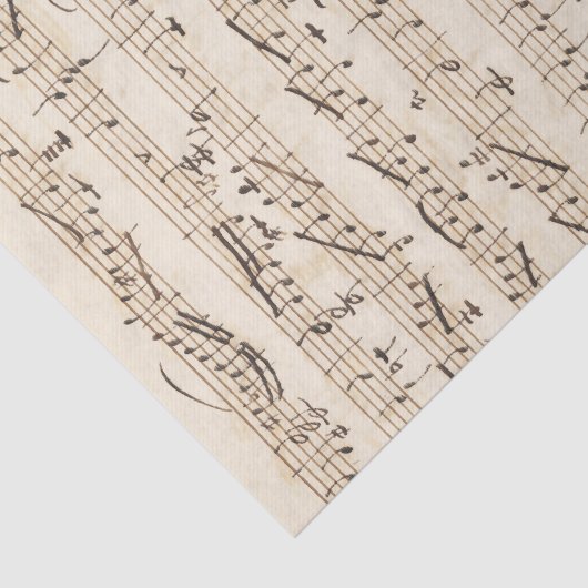 Handgeschreven vel muziekbeige weefselpapier tissuepapier (Detail)