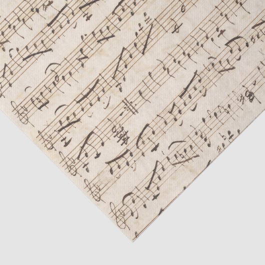 Handgeschreven vel muziekbeige weefselpapier tissuepapier (Detail)