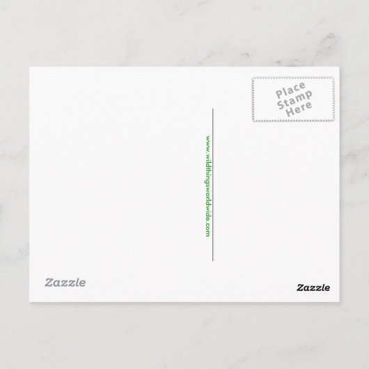 Handgetekend - ECHIDNA - Aussie wildlife - Natuur Briefkaart (Achterkant)