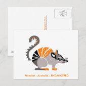 Handgetekend - NUMBAT - Marsupial - Australië Briefkaart (Voorkant / Achterkant)