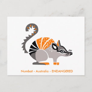 Handgetekend - NUMBAT - Marsupial - Australië Briefkaart