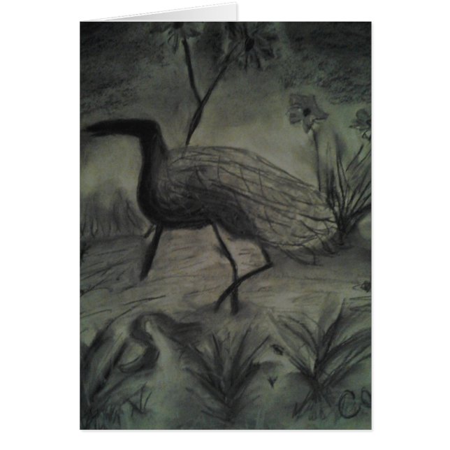 Handgetekende Afbeeldingen voor alle gelegenheden (Voorkant)