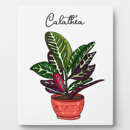 Handgetekende Calathea Fotoplaat