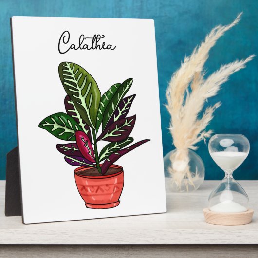 Handgetekende Calathea Fotoplaat (Zijkant)