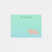 Handgetekende Capybara Schattige Wildlife Zoo Anim Post-it® Notes (Voorkant)