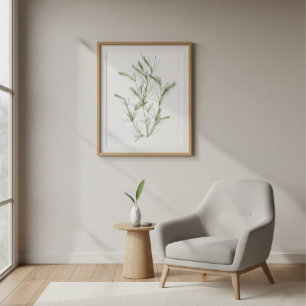 Handgetekende Chara fragilis Zeewier Canvas Print