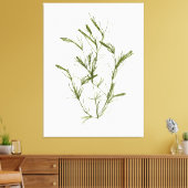 Handgetekende Chara fragilis Zeewier Canvas Print (Insitu (Woonkamer))