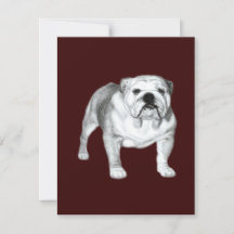 Handgetekende Engelse Bulldog