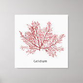 handgetekende gelidium-zeewier canvas afdruk (Voorkant)