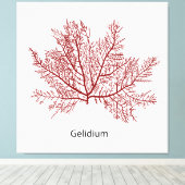 handgetekende gelidium-zeewier canvas afdruk (Insitu (Houten vloer))