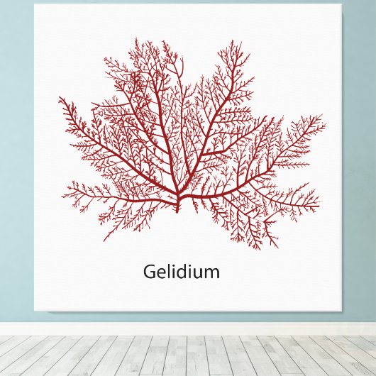 handgetekende gelidium-zeewier canvas afdruk (Insitu (Houten vloer))