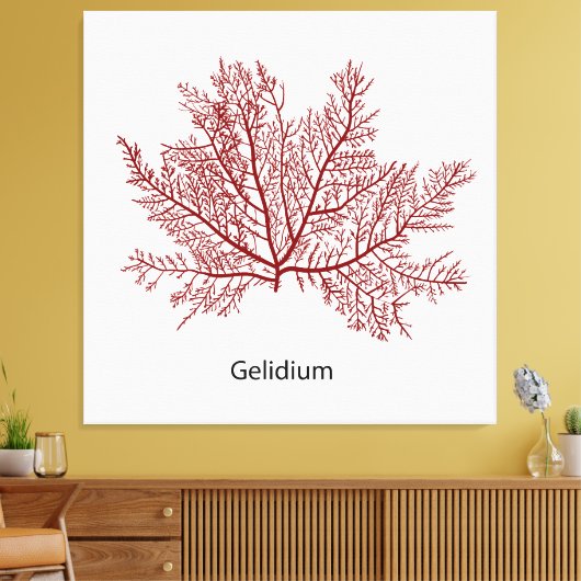 handgetekende gelidium-zeewier canvas afdruk (Insitu (Woonkamer))
