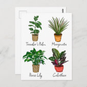 Handgetekende Huisplanten Kunst   Briefkaart (Voorkant / Achterkant)