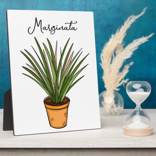 Handgetekende marginata fotoplaat (Zijkant)