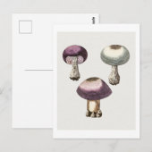 Handgetekende paarse webcap paddenstoel. briefkaart (Voorkant / Achterkant)