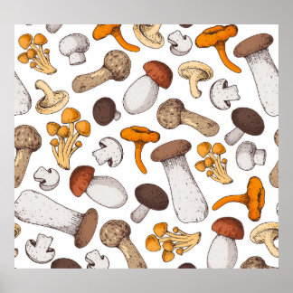 Handgetekende paddenstoelen: voedselachtergrond. poster