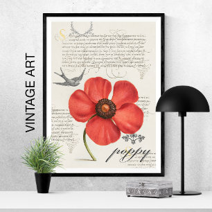 Handgetekende  rode papaver 🌸 Swallow-Tail Kite Poster