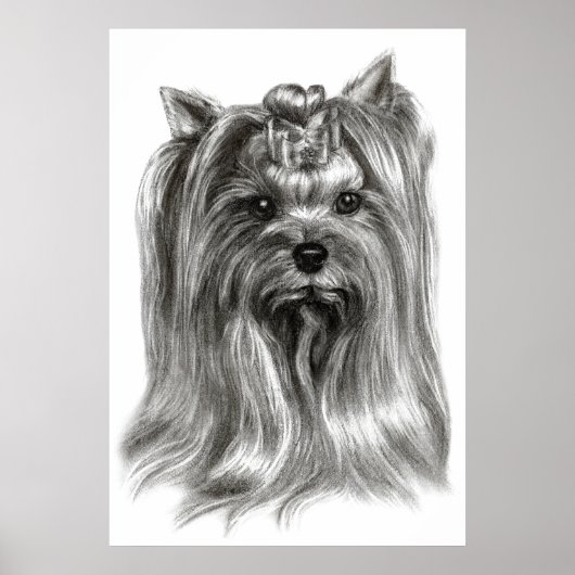 handgetekende Yorkshire Terrier Poster (Voorkant)