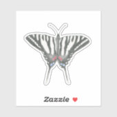 Handgetekende Zebra Swallowtail vlinder Sticker (Vel)