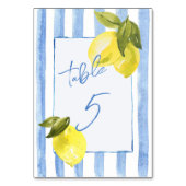 Handgetrokken blauw strepen citroenen vrijgezellen kaart (Achterkant)