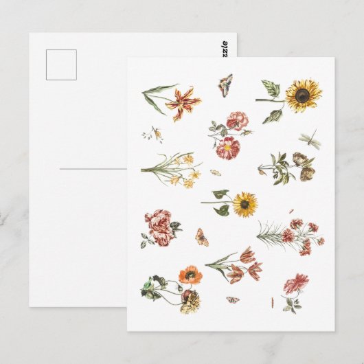 Handgetrokken bloemflorale vintage Terracotta Briefkaart (Voorkant / Achterkant)