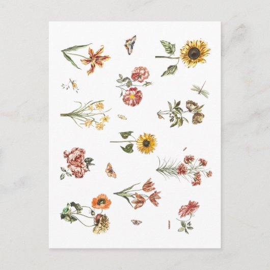 Handgetrokken bloemflorale vintage Terracotta Briefkaart (Voorkant)