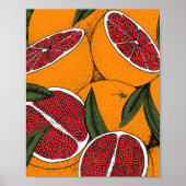 Handgetrokken druk met grapefruits poster (Voorkant)